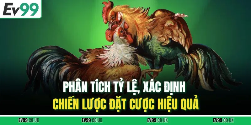 Phân tích tỷ lệ, xác định chiến lược đặt cược hiệu quả
